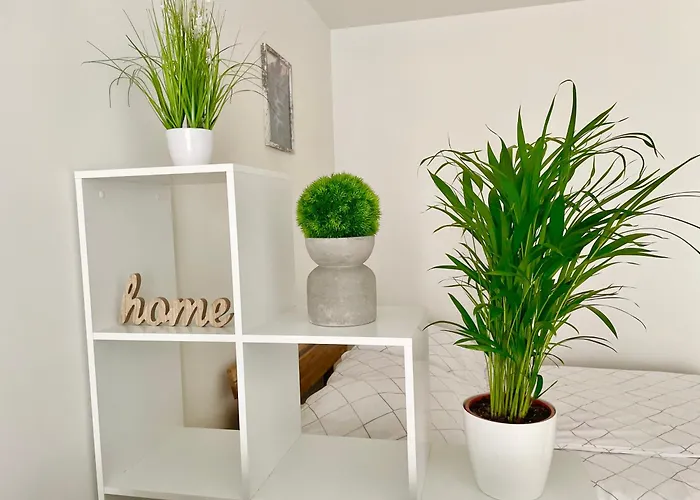 Modern Trendy With Balcony & Free Parking Appartamento Vienna